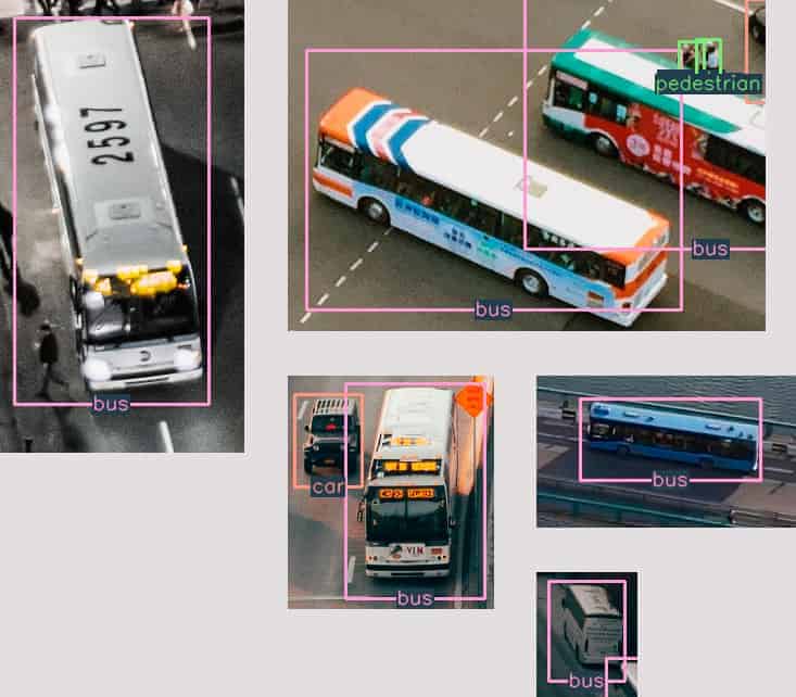 buses-v2